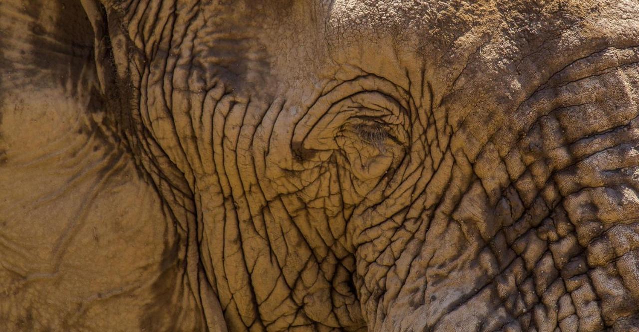 Hobatere Lodge Otjovasandu エクステリア 写真