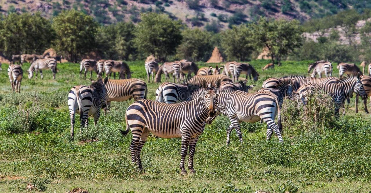 Hobatere Lodge Otjovasandu エクステリア 写真
